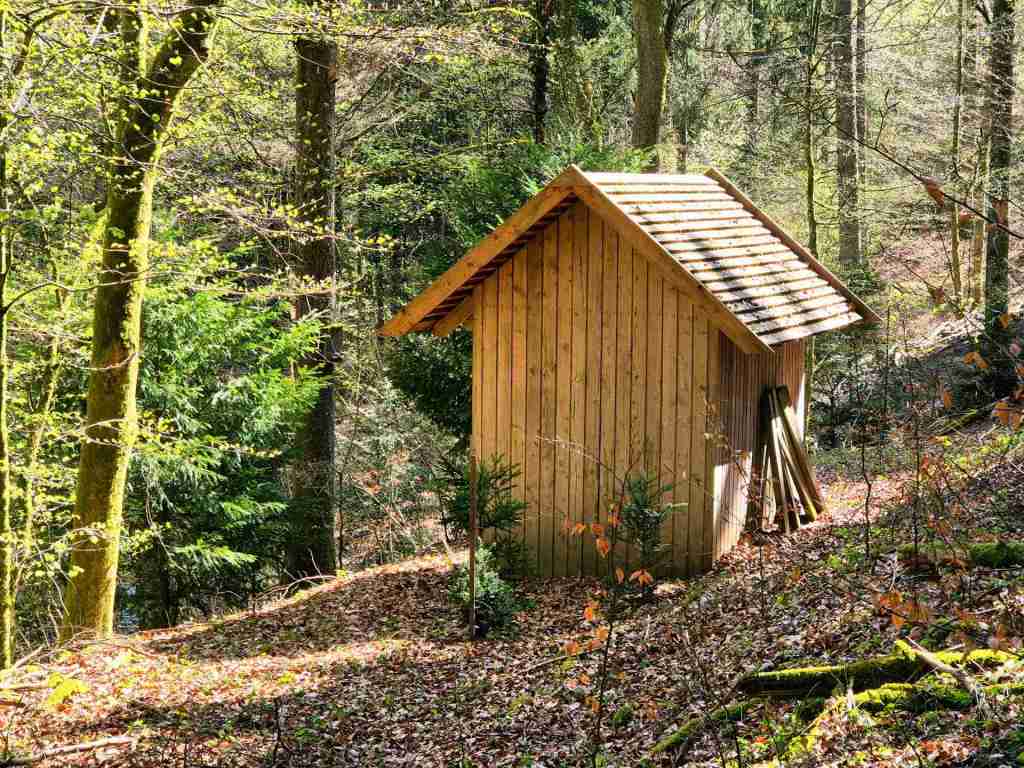 Wald mit See und Hütte