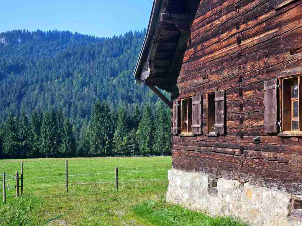 Alpe im Oberallgäu