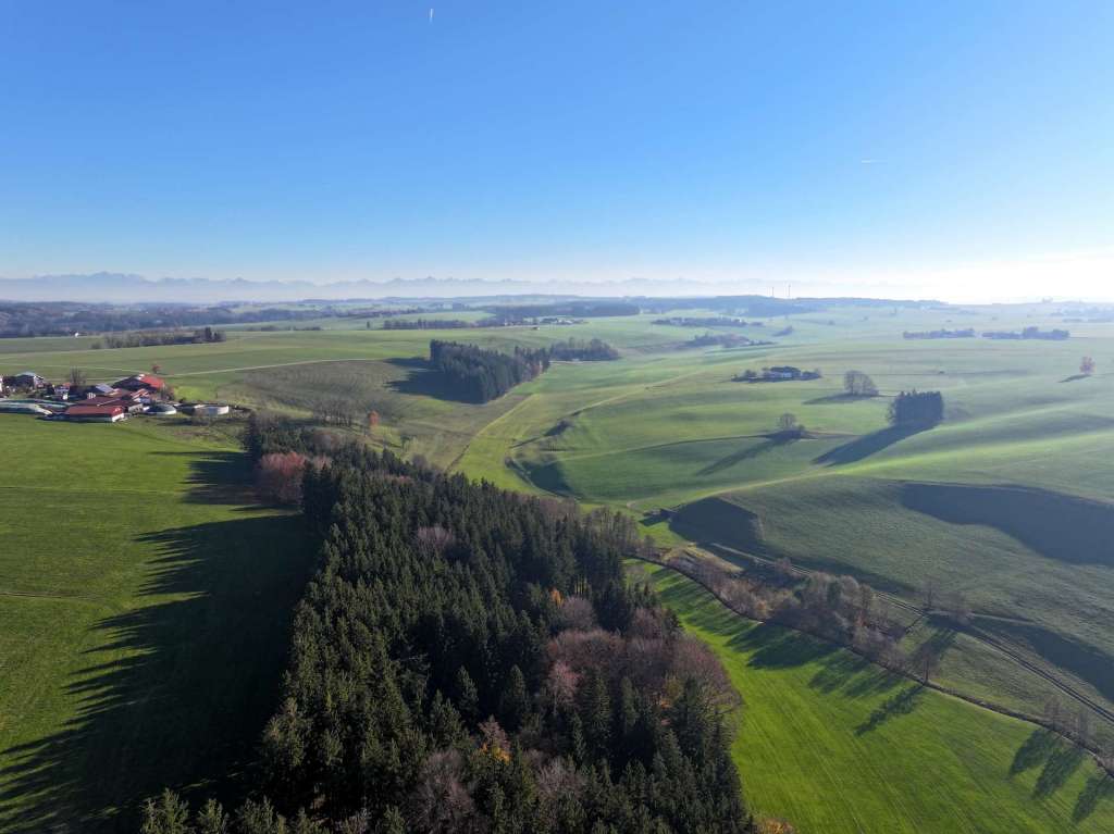 Drohnenbild Fichtenbestand im Ostallgäu